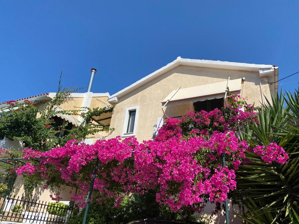 Casa Buganvilla Minia エクステリア 写真