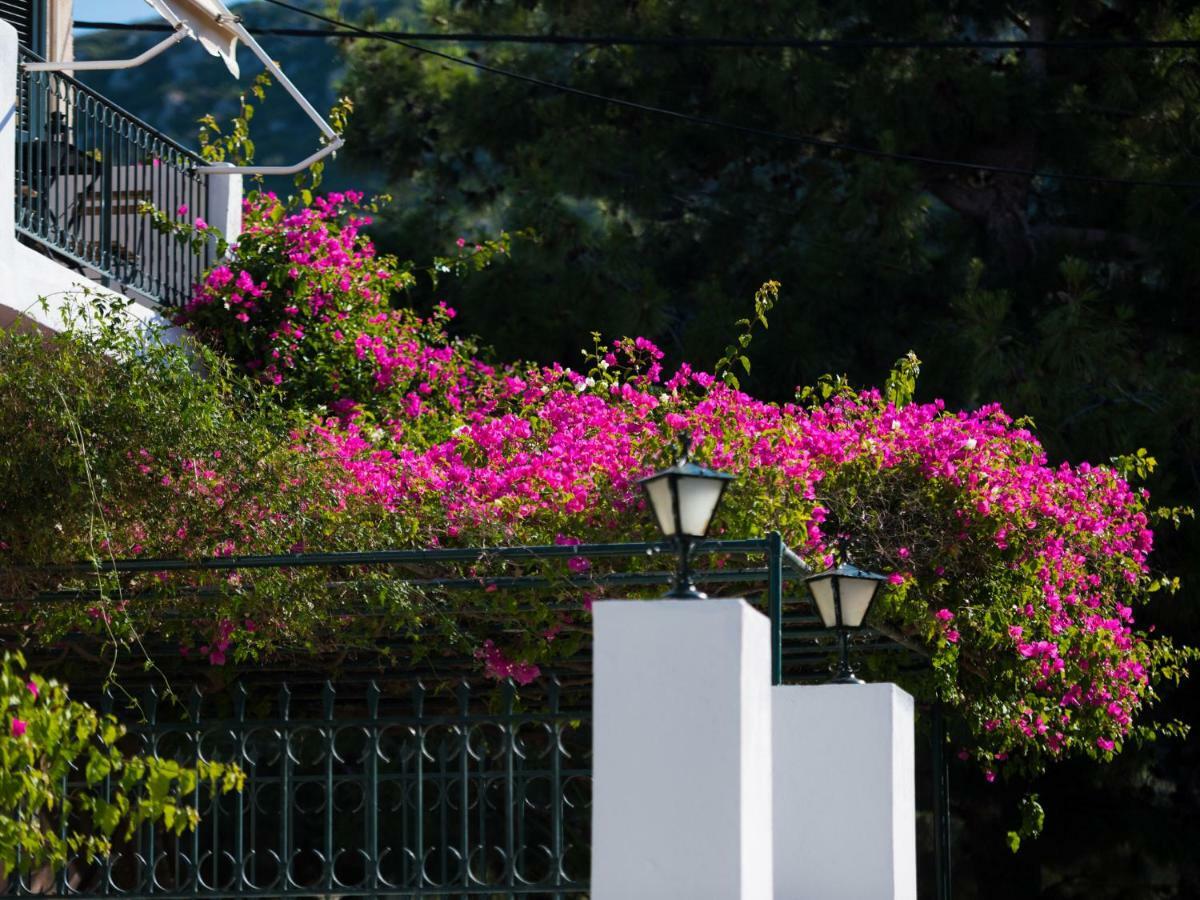 Casa Buganvilla Minia エクステリア 写真