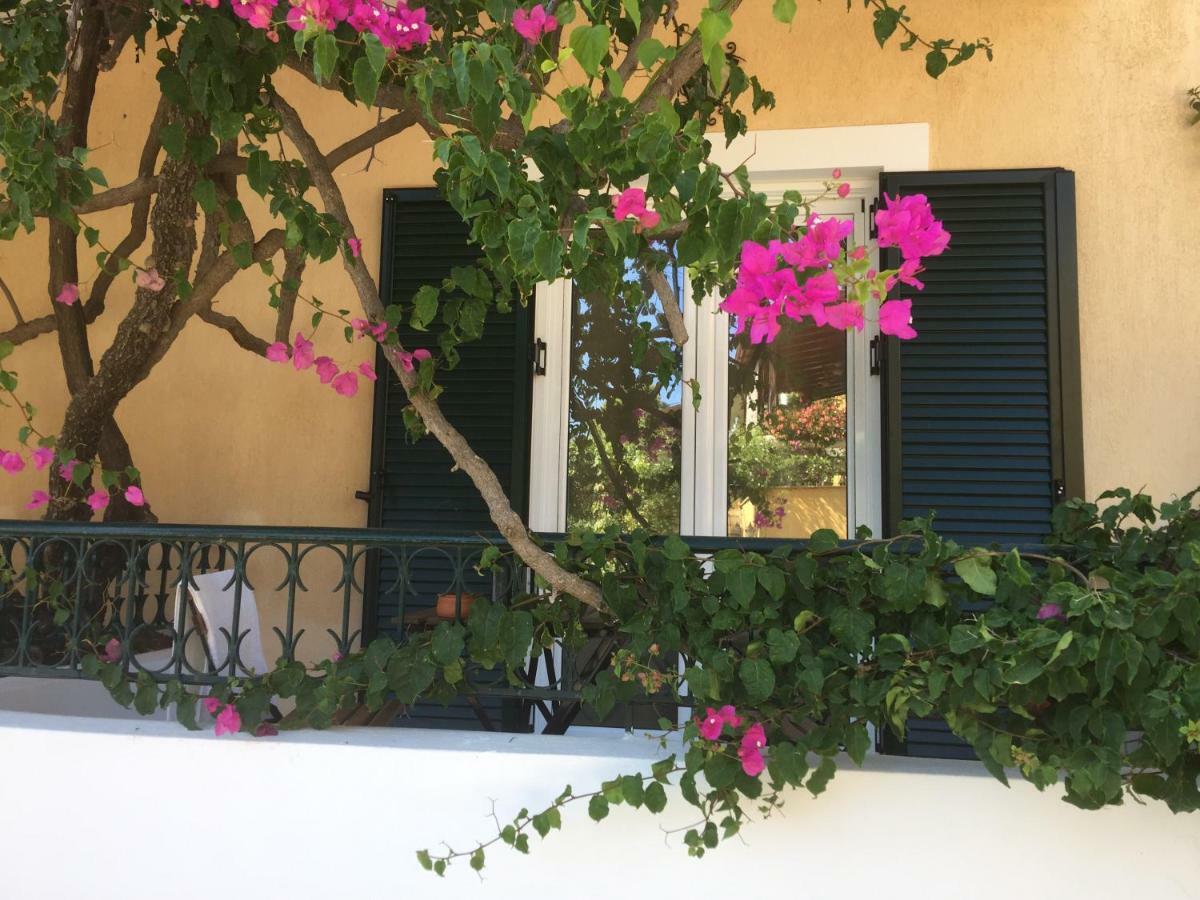 Casa Buganvilla Minia エクステリア 写真