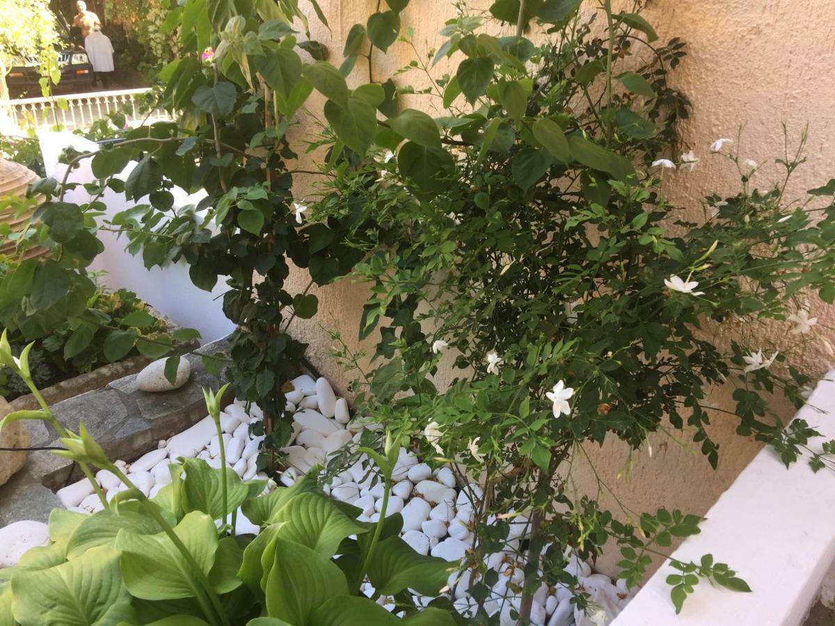 Casa Buganvilla Minia エクステリア 写真