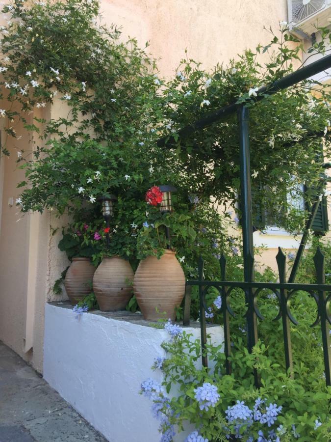Casa Buganvilla Minia エクステリア 写真