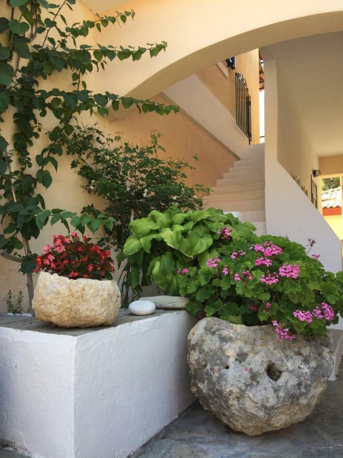 Casa Buganvilla Minia エクステリア 写真
